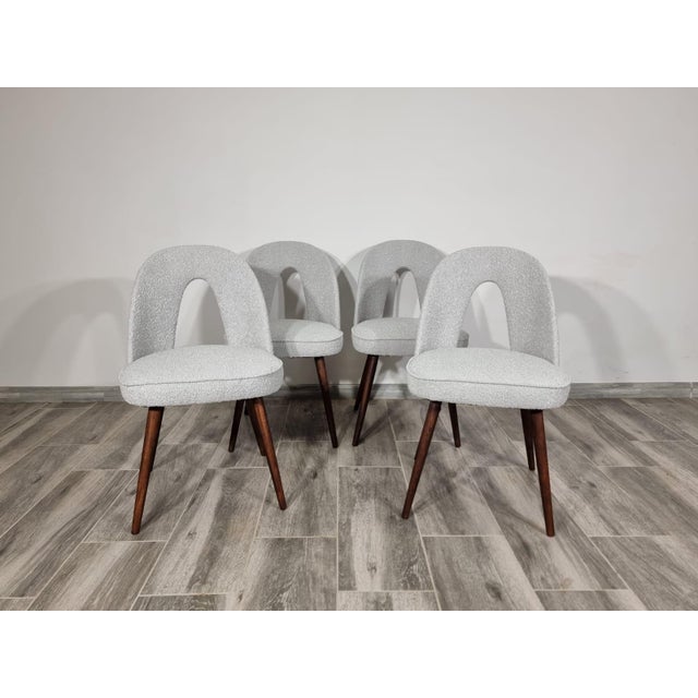 Dining Chairs by Antonin Suman, 1960s, Set of 4, in Restored conditions. Designed 1960 to 1969 I have official proof of...