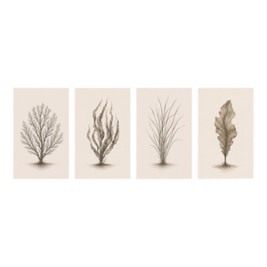 Coastal Botanical Collection, Set of 4, Seaweed & Coral Studies, 24" × 36" Each