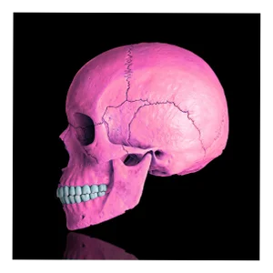 Mr Strange, Death in Pink, 2021, Giclée on Aludibond