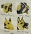 Glass Greer McGettrick Dogs Print For Sale - Image 7 of 12