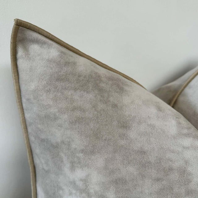 Mid-Century Modern European Vintage Style Ciment Velvet Accent Pillow With Down Insert For Sale - Image 3 of 5