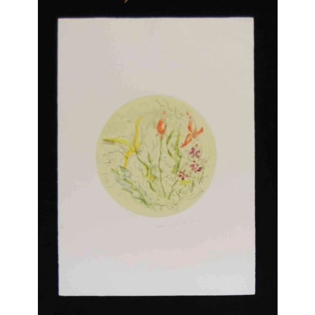 Etching made on zinc plate on Magnani-Pescia paper 310 gr/m2, paper size 50cm x 70cm, round engraving diameter 31cm hand...