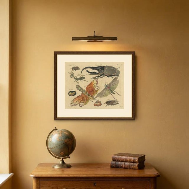 Bertuch, Hercules Beetle and Lantern Fly, 1805, Print For Sale - Image 10 of 12