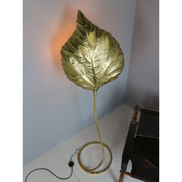 Vintage Rhubarb Floor Lamp by Tommaso Barbi for Bottega Gadda, 1970 For Sale - Image 6 of 15