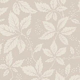Sample - Borastapeter Vildvin Wallpaper in Stone For Sale