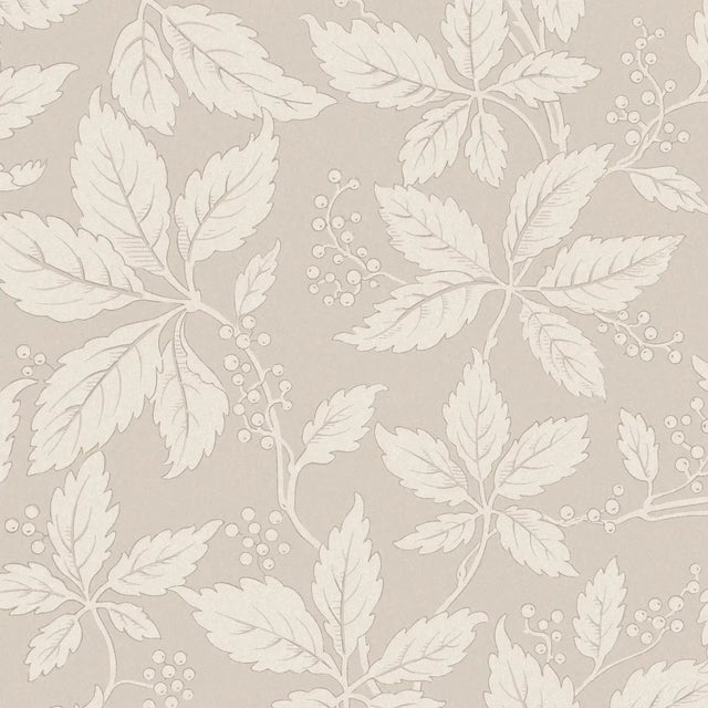 Sample - Borastapeter Vildvin Wallpaper in Stone For Sale
