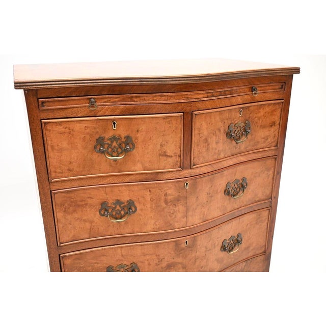 Antique Georgian Burr Walnut Chest of Drawers, 1920s For Sale - Image 9 of 11