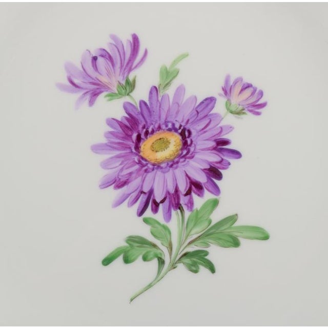 White Porcelain Dinner Plates with Floral Motifs from Meissen, Germany, 1890s, Set of 4 For Sale - Image 8 of 10