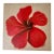 Modern Oil Painting - Fleur Rouge For Sale