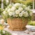 Chinoiserie Hexagon Wicker Planter, Medium For Sale - Image 3 of 5