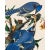 Introducing the Duchess Edition: a refined collection of Audubon Bird Giclée reproductions that elevate the timeless...