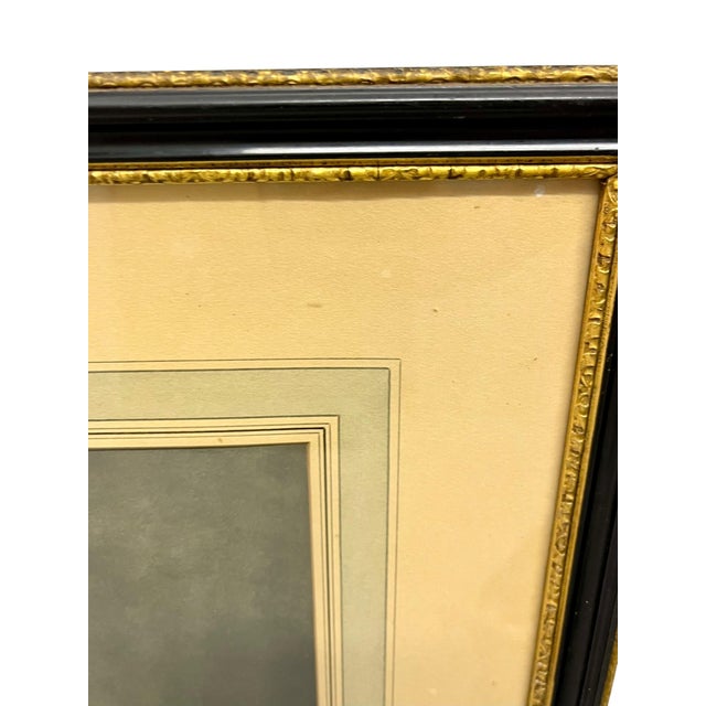 Paper Antique Pair of English Game Bird Sporting Hand Colored Engravings in Ebonized Frames For Sale - Image 7 of 18