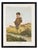 A remarkable decorative set of eight antique french chromolithographs from antoine bisetzky's (1817-1892) *album comique*,...
