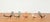 Mid-Century Modern German Wall Coat Rack, 1960s, Set of 5 For Sale - Image 15 of 18