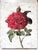 A contemporary fragment piece in the tradition of architectural salvage — designed to evoke a precious remnant of hand-...