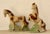 Mid-Century Modern Mid-Twentieth Century Brazilian Ceramic Equesterian Figurines, a Pair For Sale - Image 3 of 11