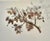 Mid-Century Modern Mid-Century Modern Brutalist Copper and Brass Tree Branch Wall Sculpture, Circa 1960s For Sale - Image 3 of 12