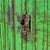 Vintage Industrial Green Locker, 1950s For Sale - Image 10 of 14