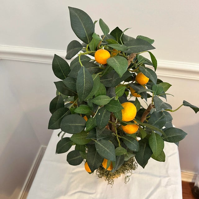 Vintage faux citrus tree with orange fruit seated in a terracotta pot. Spanish moss surrounds the base. Measures 12”...
