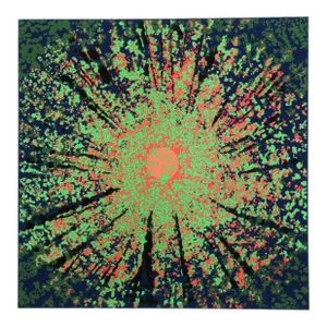 Jon D'Orazio, Radiance, Serigraph