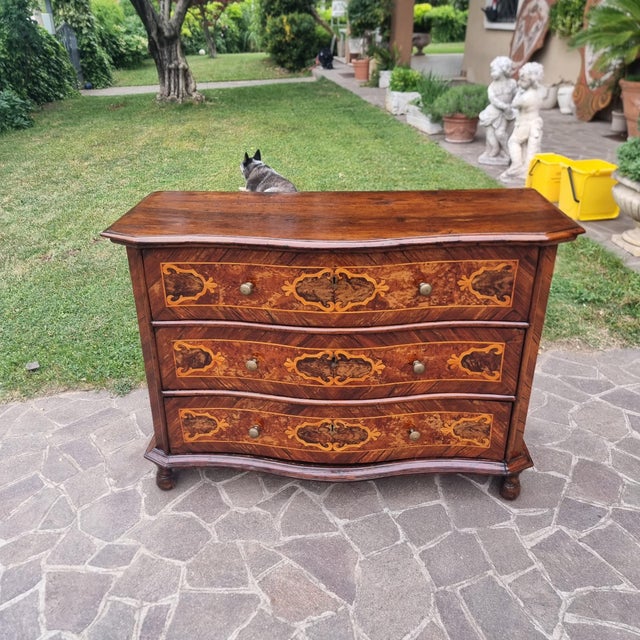 Lombard Chest of Drawers in Walnut with Inlays, 1680 For Sale - Image 11 of 11
