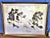 Large watercolor of four Hershey Park, PA carousel horses. Signed lower right and dated "Nancy H. Strailey 1982"....