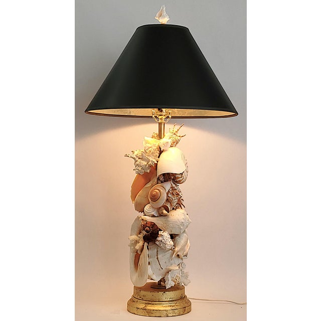Lamp Real Shells For Sale - Image 13 of 14