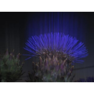 Contemporary Abstract Photographic Color Print For Sale