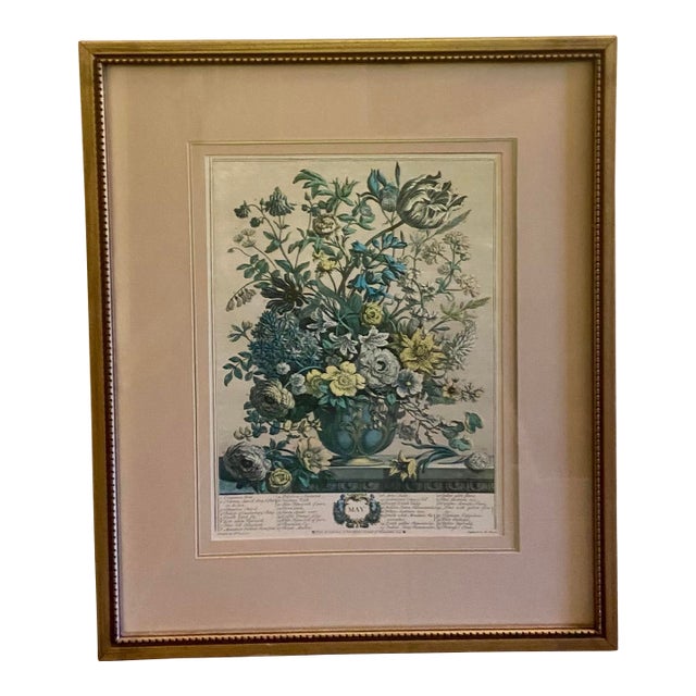 Vintage Robert Furber May Botanical Calendar Print, Framed For Sale