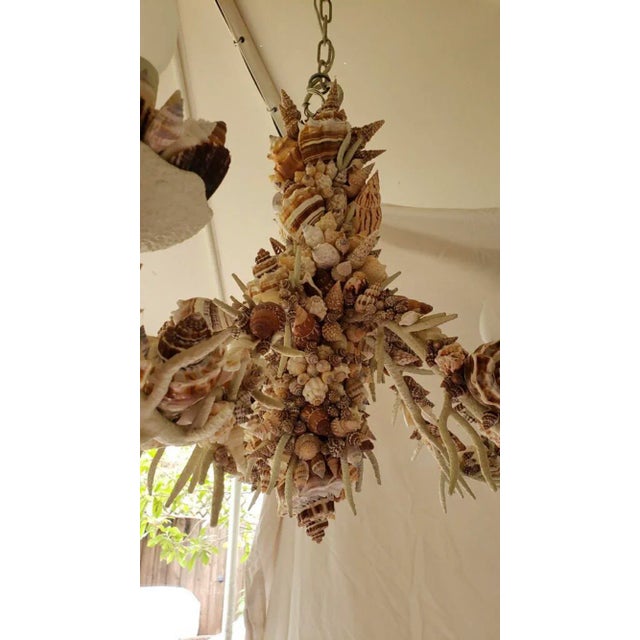 1970s Nautical Natural Sea Shell Chandelier For Sale - Image 5 of 9