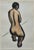 Jacques Schnier (1898 - 1988) Nude Study, 19"x12" Charcoal With Ink Wash, dated 1927 framed to 24 1/2" x 18 1/2"...