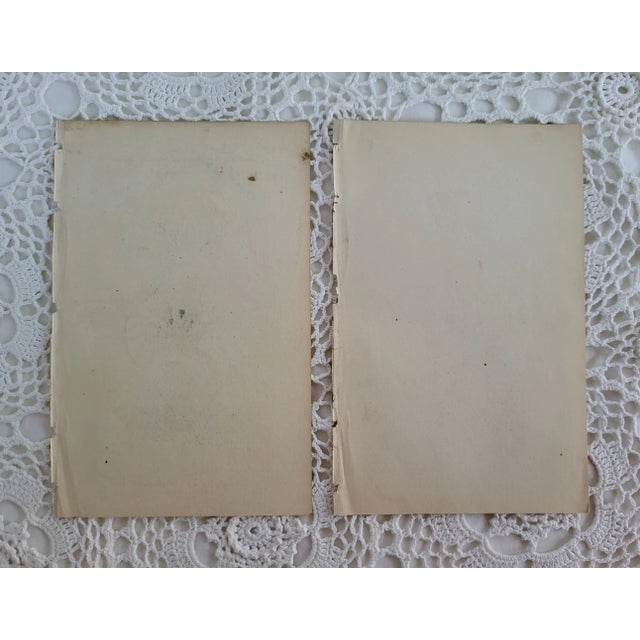 A crab crustacean engraving from an antique copy of the Animal Kingdom by Cuvier of London, circa 1840. This is a copper-...