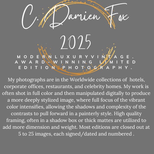 "Beaux Arts Cornice, French Quarter". The Iconic roofline at the old Maison Blanche Department Store on Canal Street (now...