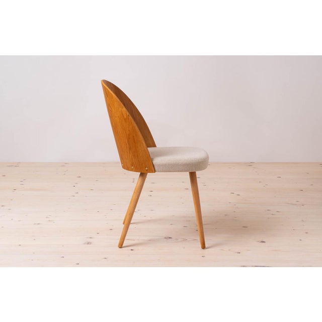 Mid-Century Dining Chairs attributed to A. Suman, 1960s, Set of 10 For Sale - Image 11 of 18