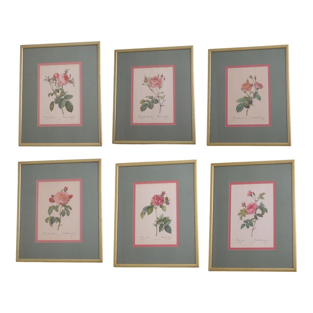 1900s Set of 6 Rose Engraving Prints Artwork For Sale