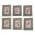 1900s Set of 6 Rose Engraving Prints Artwork For Sale