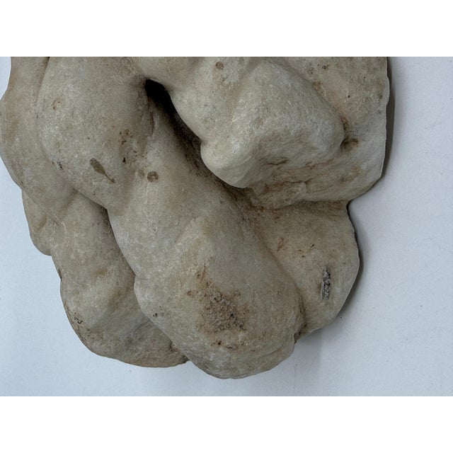 Antique Classical Marble Stone Fragment Lions Claw For Sale - Image 10 of 16