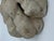 Antique Classical Marble Stone Fragment Lions Claw For Sale - Image 10 of 16