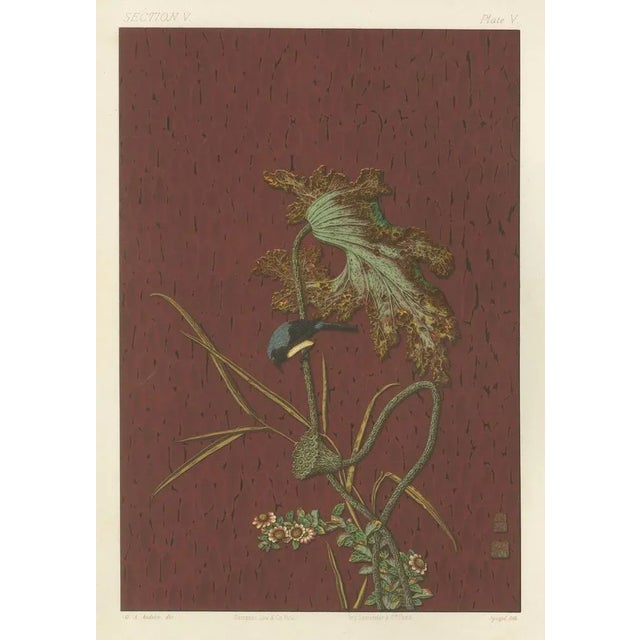 Title: nature's elegance with japanese aesthetics – plate v from g. A. Audsley’s chromolithographic collection : plate v...