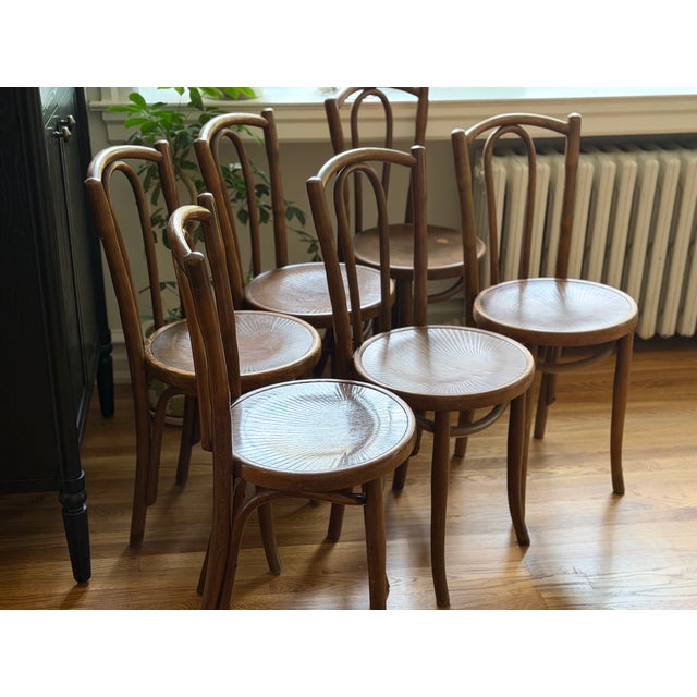 Offered is a matching set of six early 20th-century bentwood dining chairs manufactured by Mazowia of Poland. These...