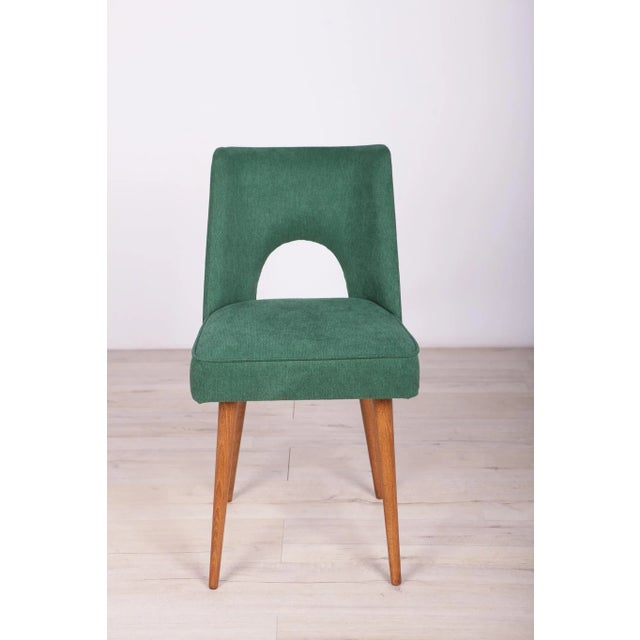 1960s Polish Shell Chairs from Bydgoszcz Furniture Factory, 1960s, Set of 6 For Sale - Image 5 of 14