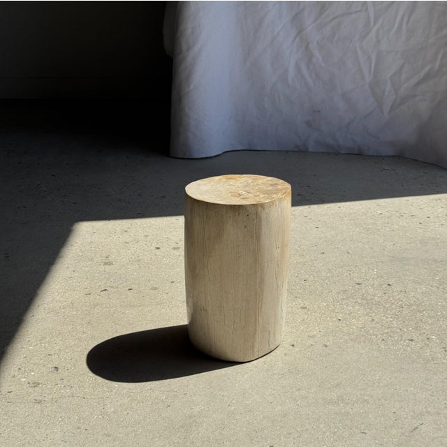 Contemporary Small Side Table in Speckled White and Beige Petrified Wood, 1980s For Sale - Image 3 of 18