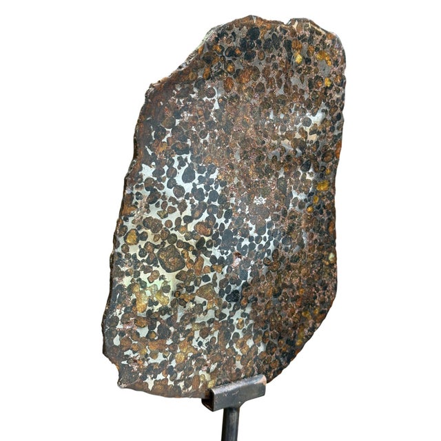 African Pallasite Meteorite Slice From the Jericho Strewn Field, Kenya. For Sale - Image 3 of 7
