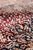 Pasargad Home Azerbaijan Red Silk Area Rug- 9' 3" X 12' 1" For Sale - Image 4 of 6