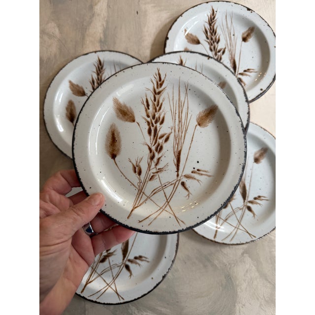 Ceramic 1980s Midwinter Stonehenge Wild Oats 7 Inch Salad Plates England - Set of Six (6) For Sale - Image 7 of 10