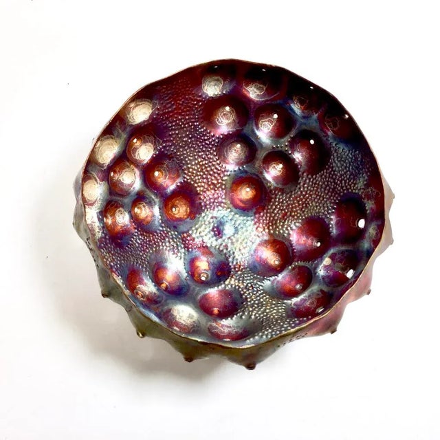Contemporary Sea Urchin Bowl from Katie Watson For Sale - Image 3 of 4