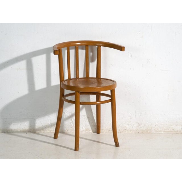 Mundus Bentwood Chairs, 1920, Set of 4 For Sale - Image 6 of 14
