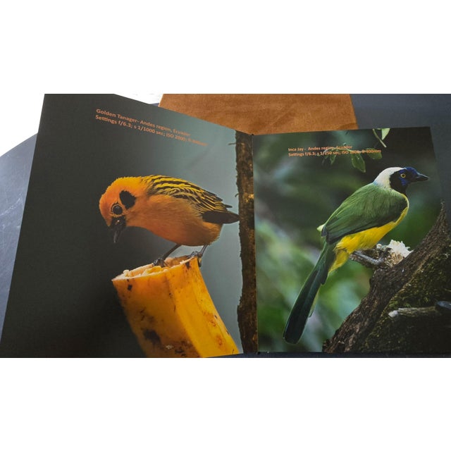 Whispers in the Wind a Tweet From the Wild For Sale - Image 16 of 17