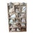 Vintage Curated Seashell Specimen Collection in Wooden Shadow Box Cabinet For Sale