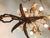 Mid-Century Italian Tole Chandelier, 1950s For Sale - Image 12 of 16